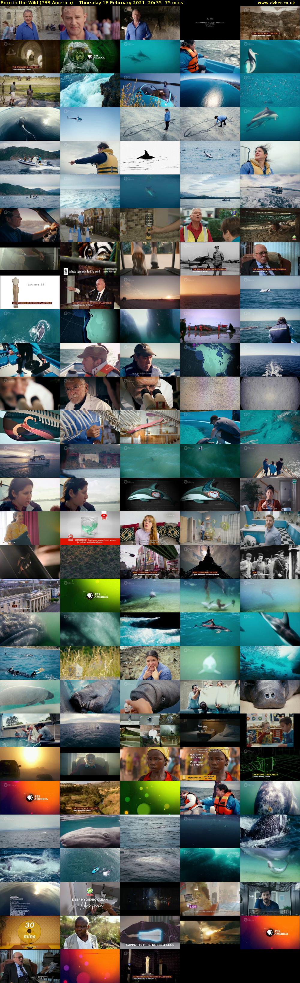 Born in the Wild (PBS America) Thursday 18 February 2021 20:35 - 21:50