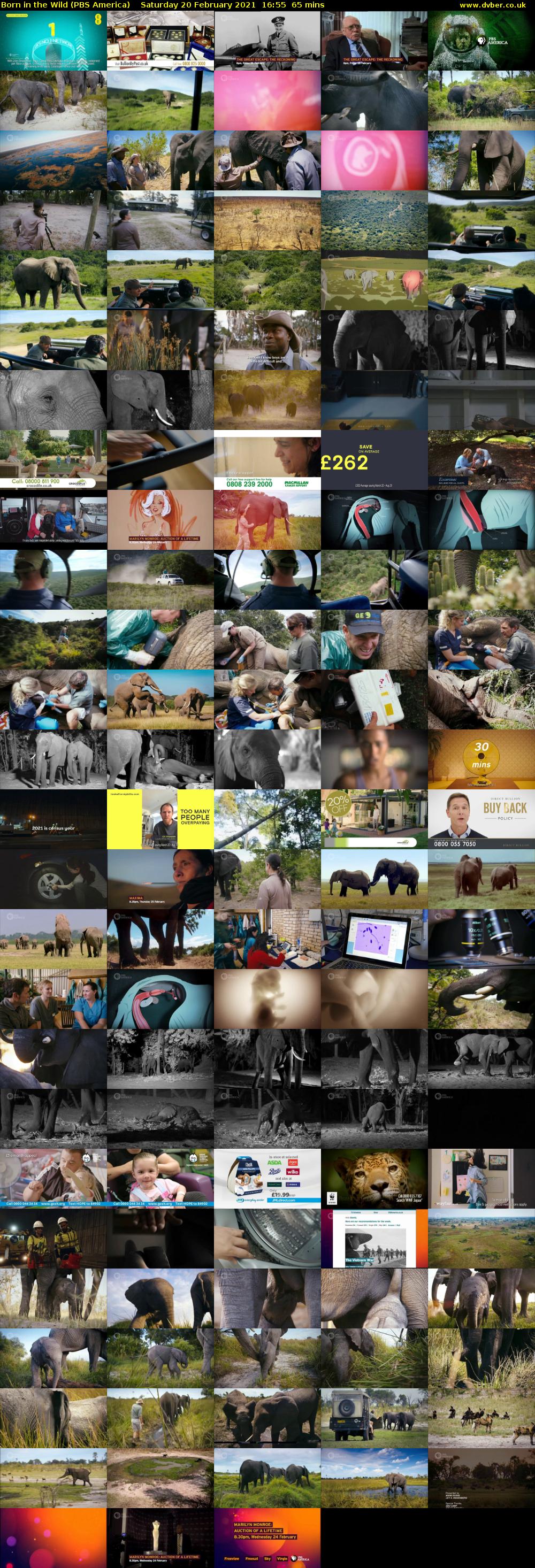 Born in the Wild (PBS America) Saturday 20 February 2021 16:55 - 18:00