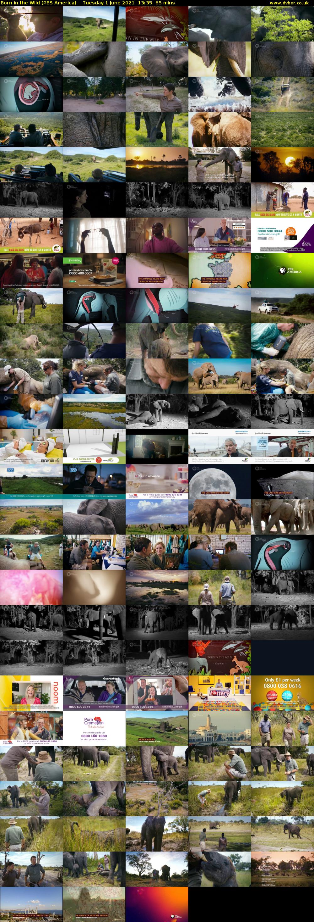 Born in the Wild (PBS America) Tuesday 1 June 2021 13:35 - 14:40