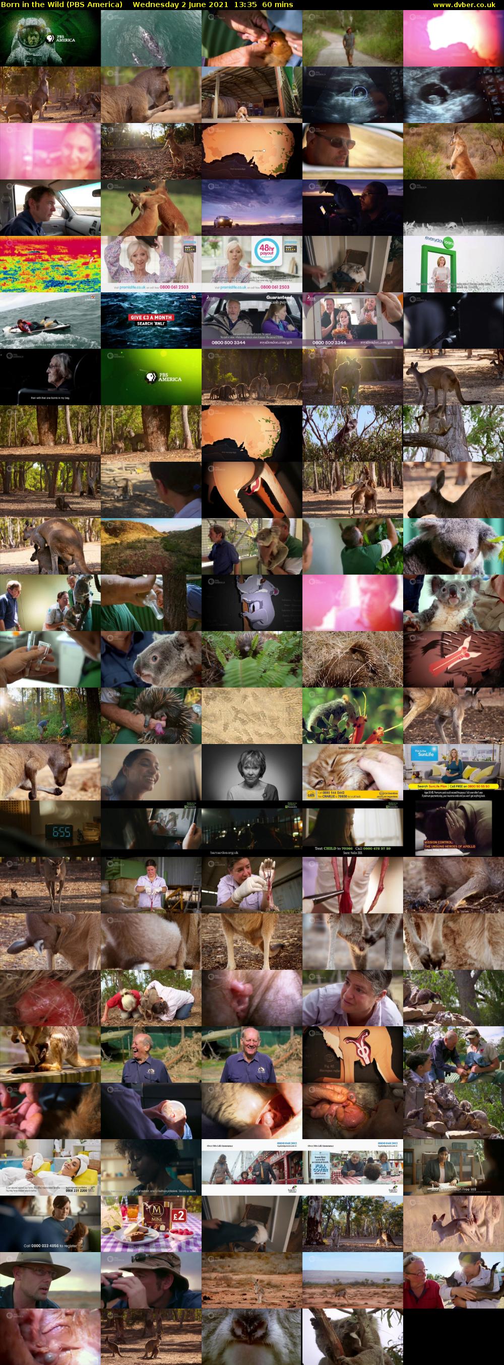 Born in the Wild (PBS America) Wednesday 2 June 2021 13:35 - 14:35