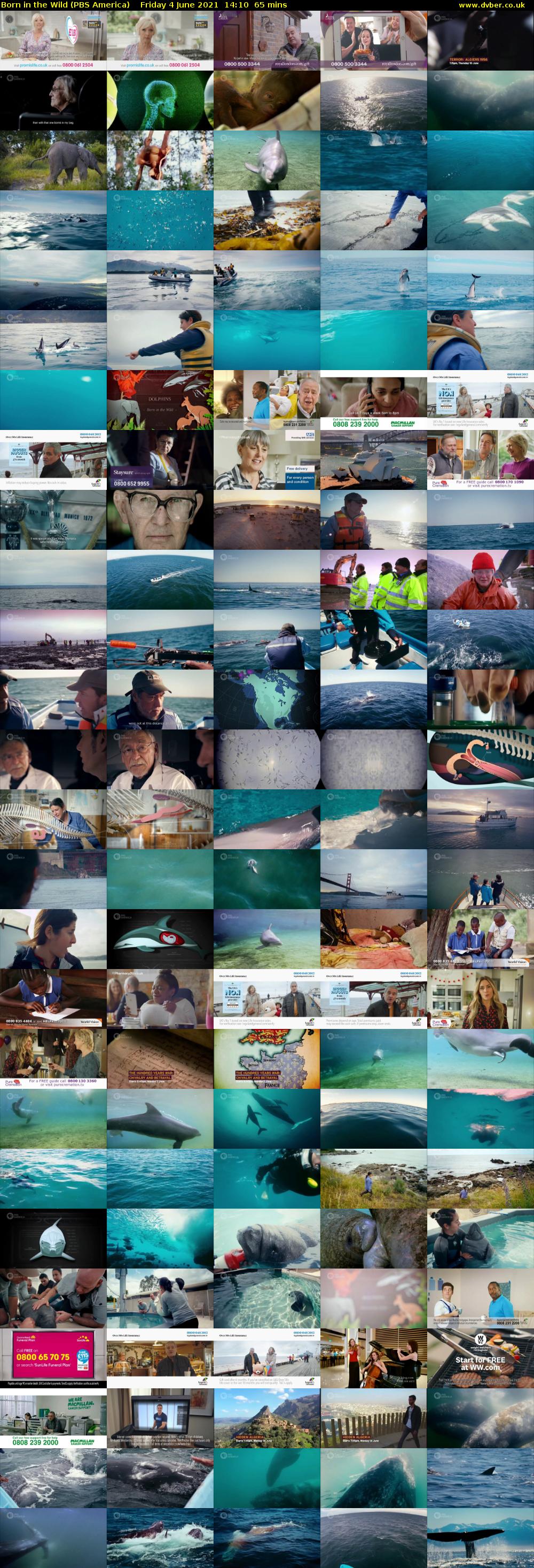 Born in the Wild (PBS America) Friday 4 June 2021 14:10 - 15:15