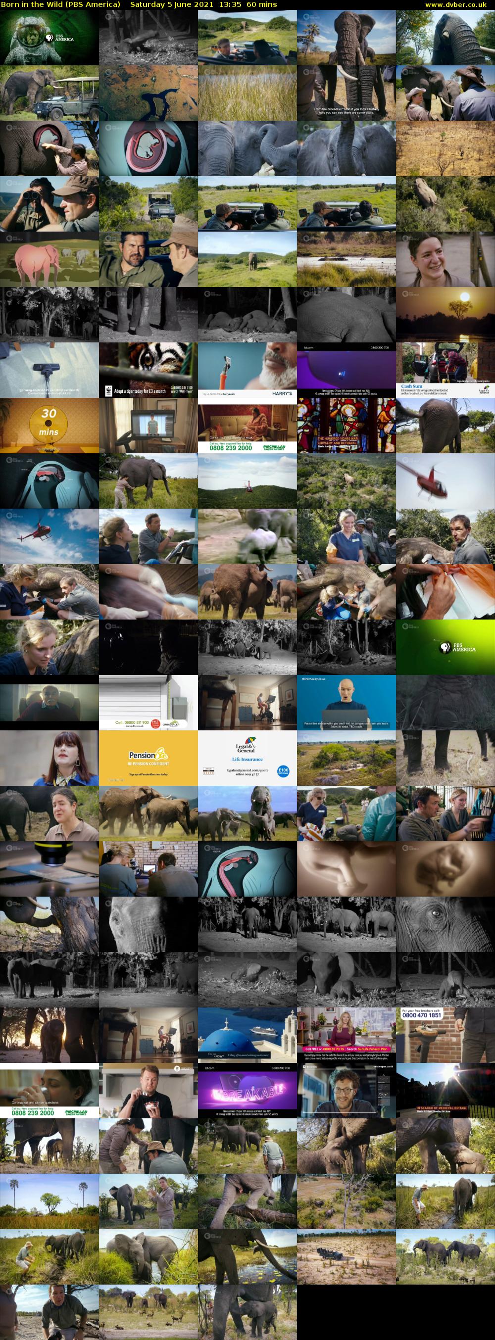 Born in the Wild (PBS America) Saturday 5 June 2021 13:35 - 14:35