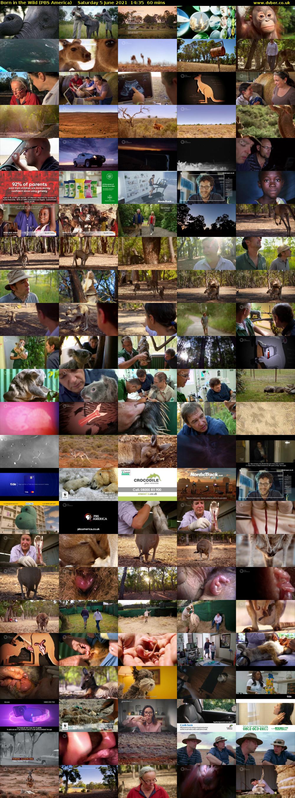 Born in the Wild (PBS America) Saturday 5 June 2021 14:35 - 15:35