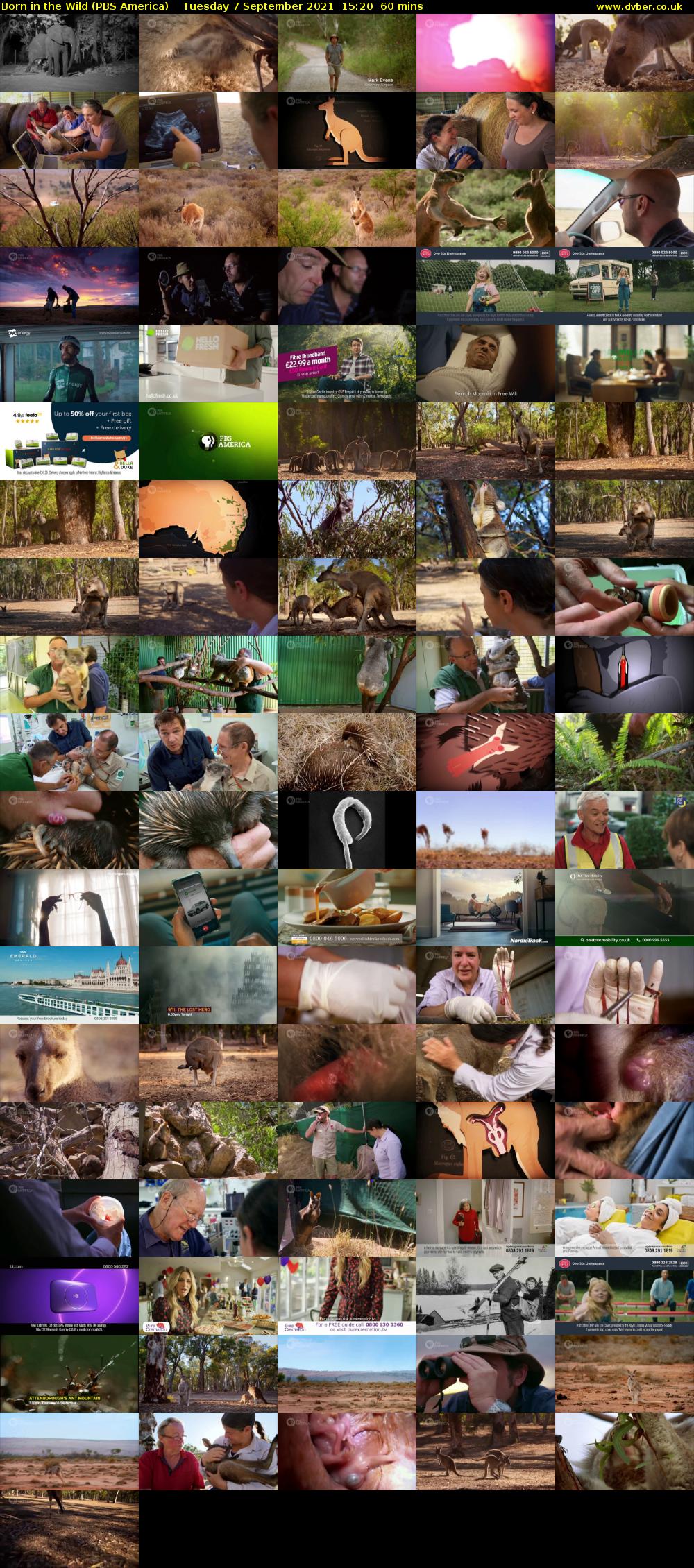 Born in the Wild (PBS America) Tuesday 7 September 2021 15:20 - 16:20