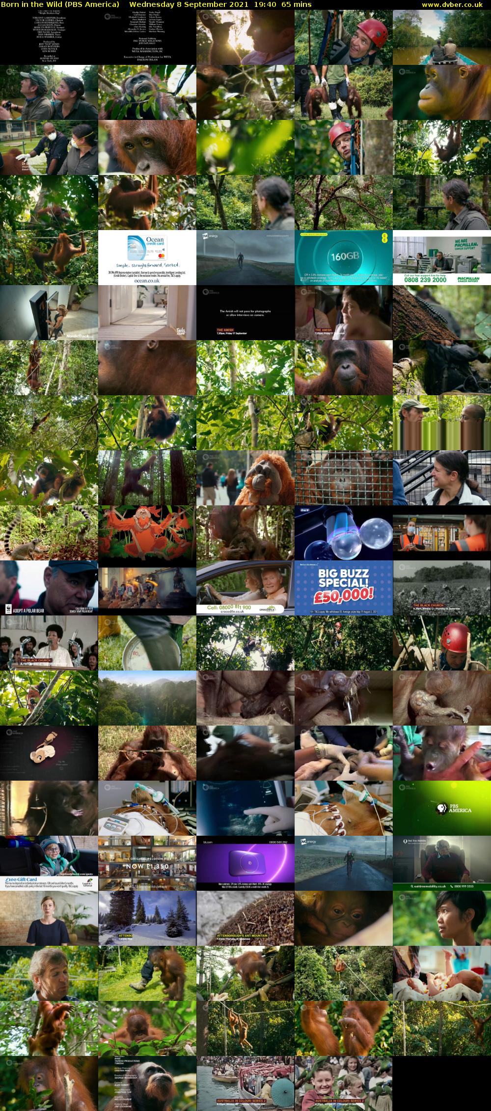 Born in the Wild (PBS America) Wednesday 8 September 2021 19:40 - 20:45