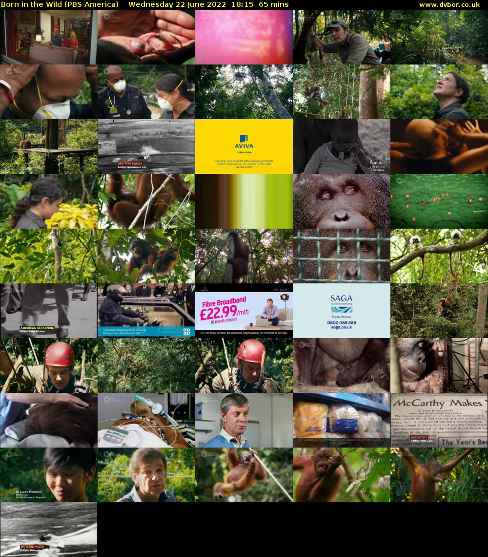 Born in the Wild (PBS America) Wednesday 22 June 2022 18:15 - 19:20