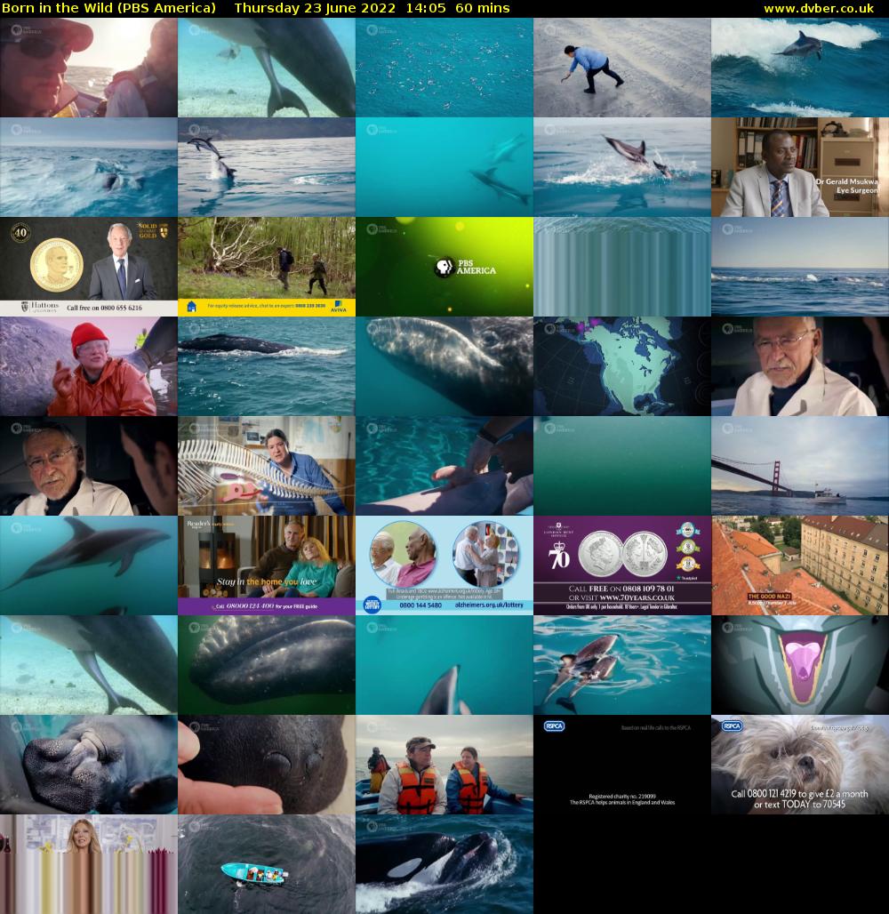 Born in the Wild (PBS America) Thursday 23 June 2022 14:05 - 15:05