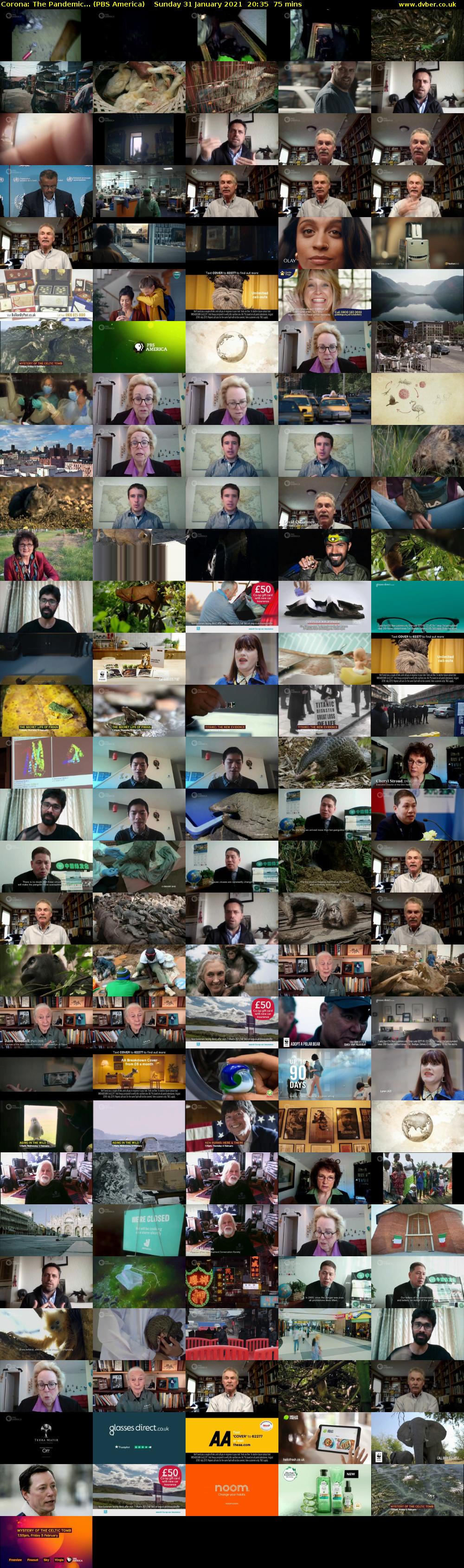 Corona: The Pandemic... (PBS America) Sunday 31 January 2021 20:35 - 21:50