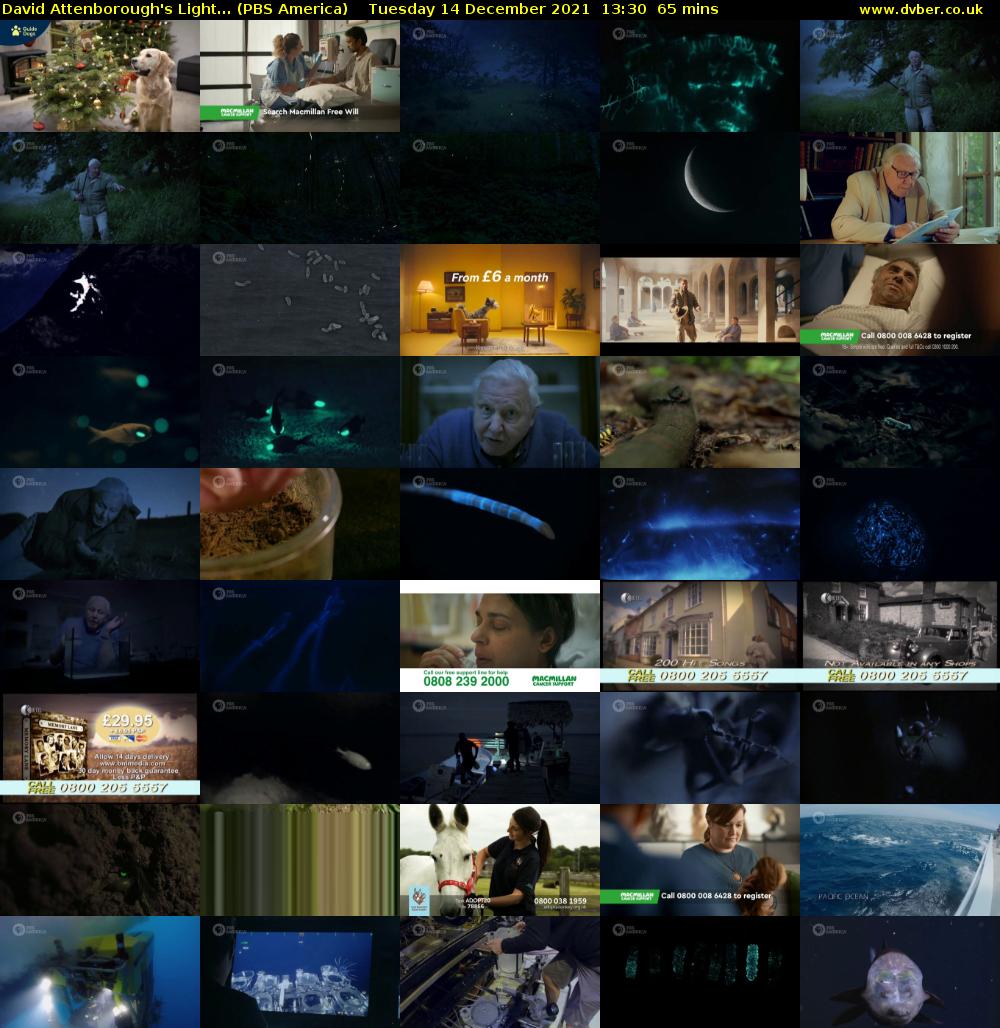 David Attenborough's Light... (PBS America) Tuesday 14 December 2021 13:30 - 14:35