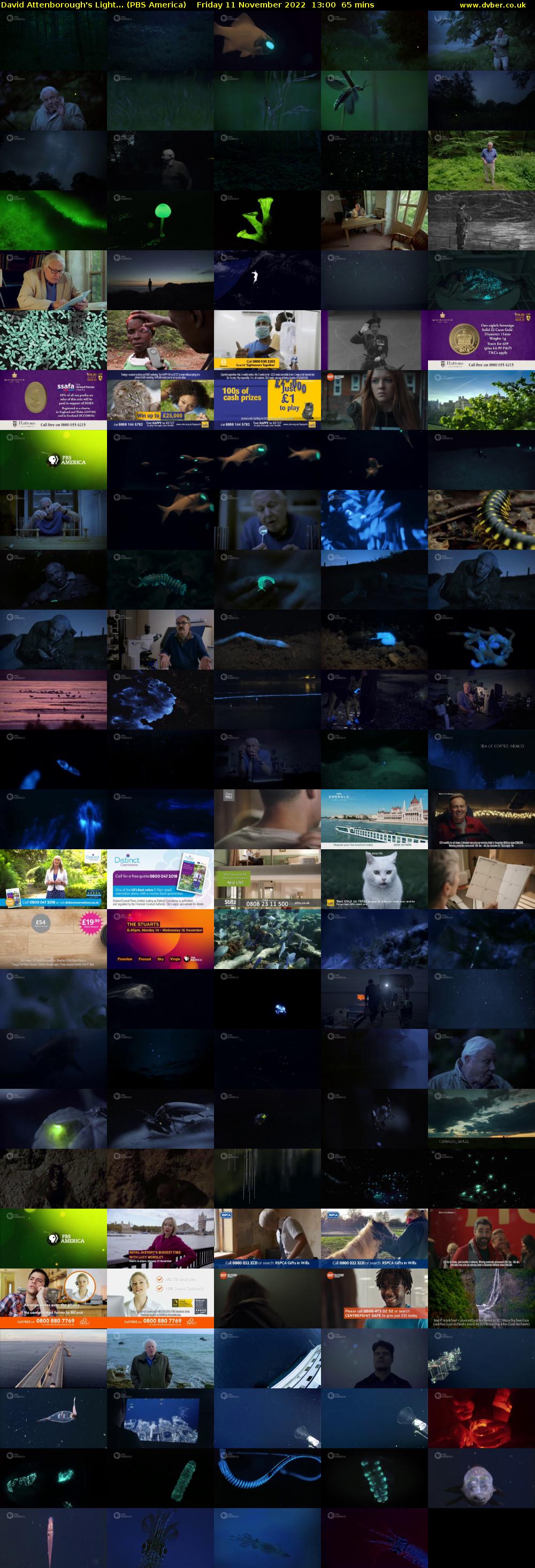 David Attenborough's Light... (PBS America) Friday 11 November 2022 13:00 - 14:05