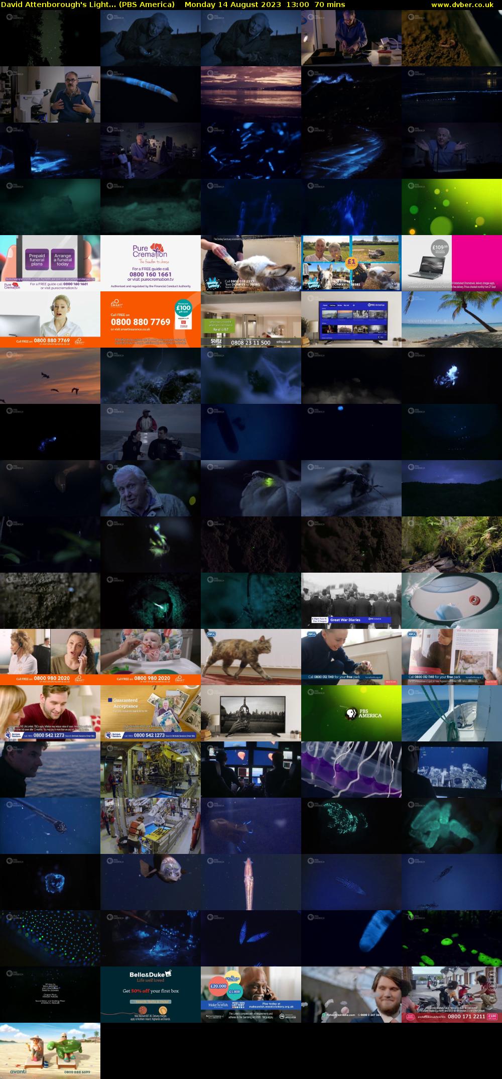 David Attenborough's Light... (PBS America) Monday 14 August 2023 13:00 - 14:10