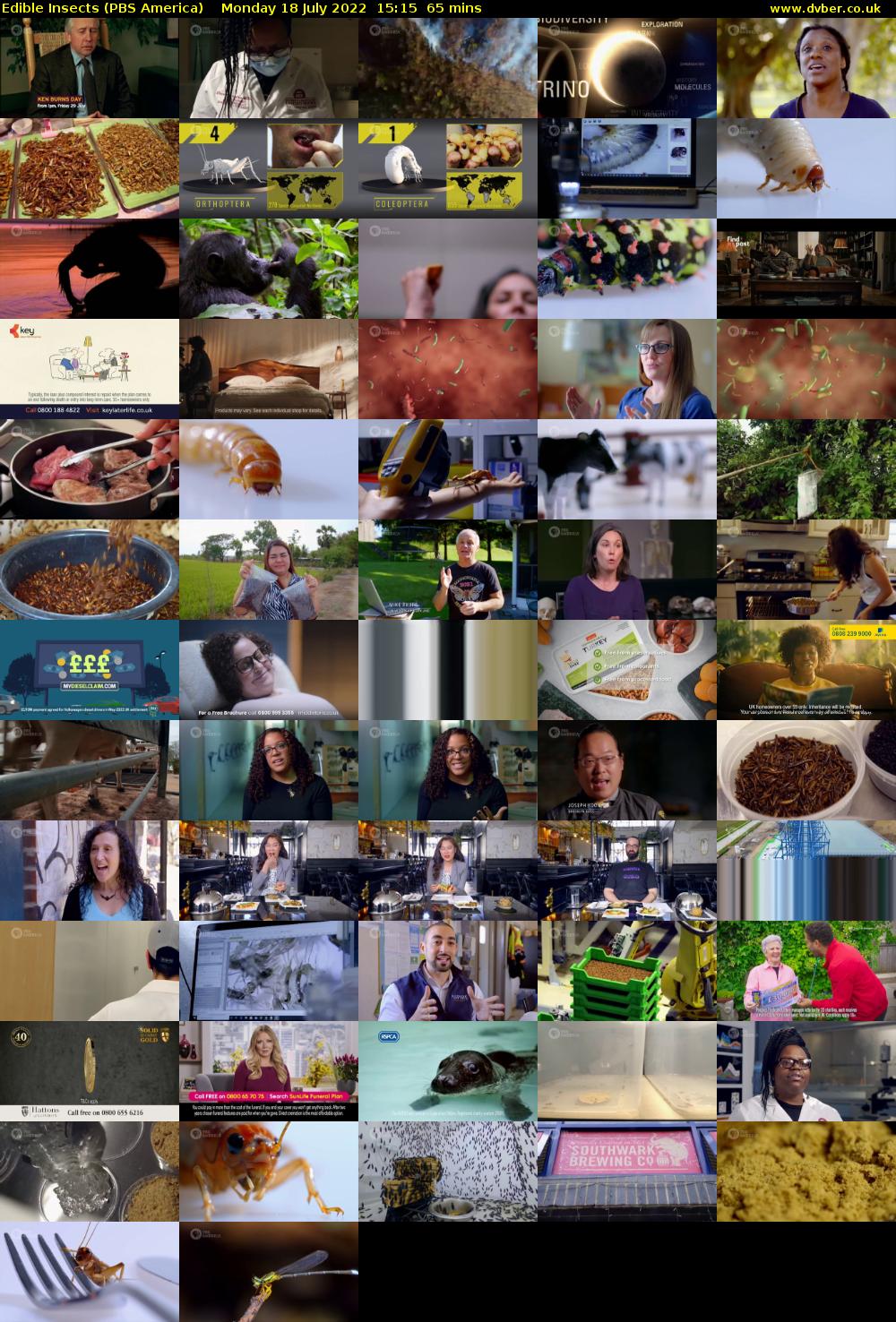 Edible Insects (PBS America) Monday 18 July 2022 15:15 - 16:20
