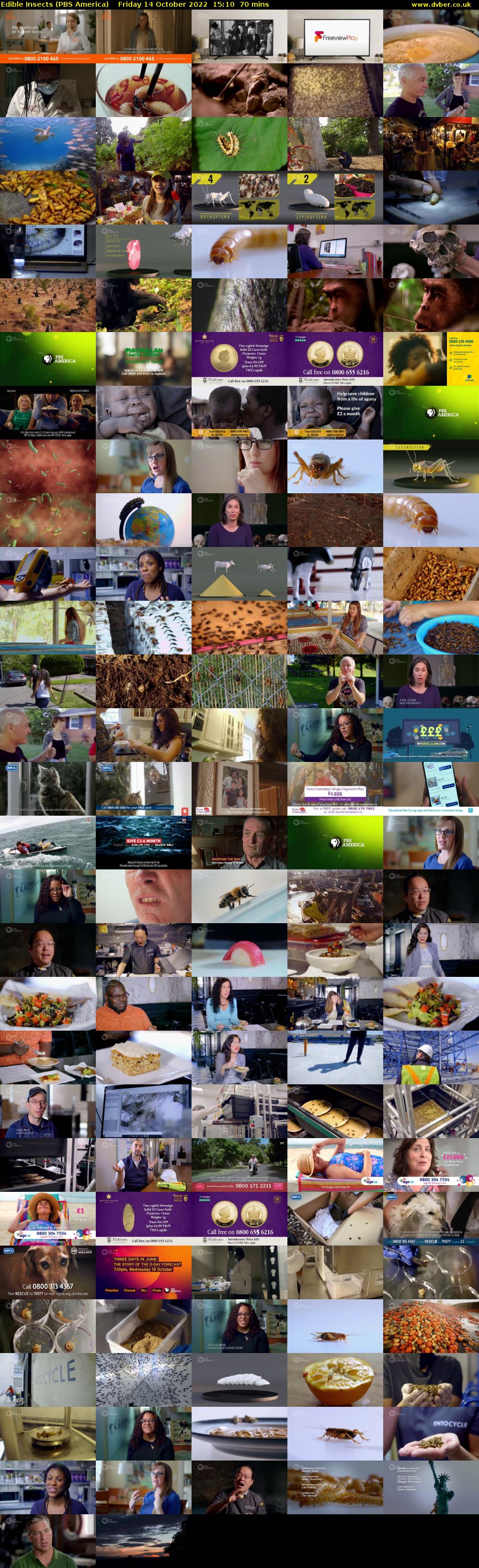 Edible Insects (PBS America) Friday 14 October 2022 15:10 - 16:20