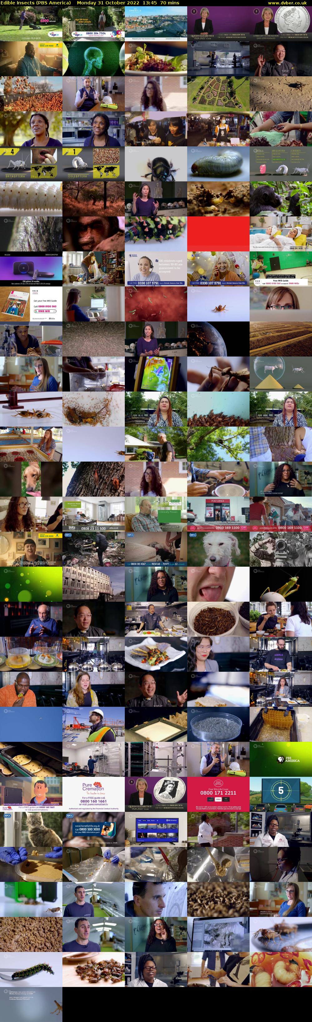 Edible Insects (PBS America) Monday 31 October 2022 13:45 - 14:55
