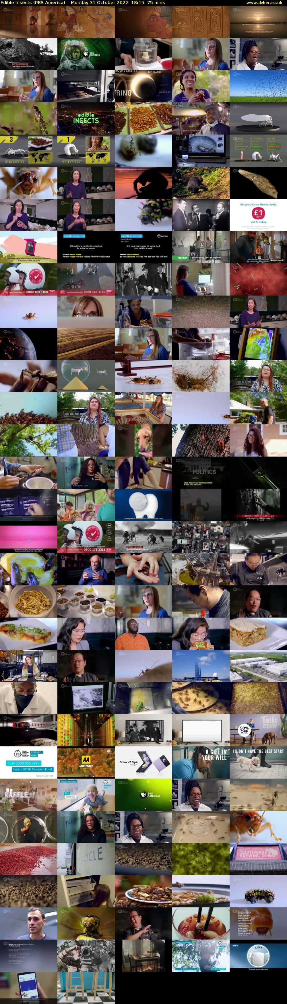 Edible Insects (PBS America) Monday 31 October 2022 18:15 - 19:30