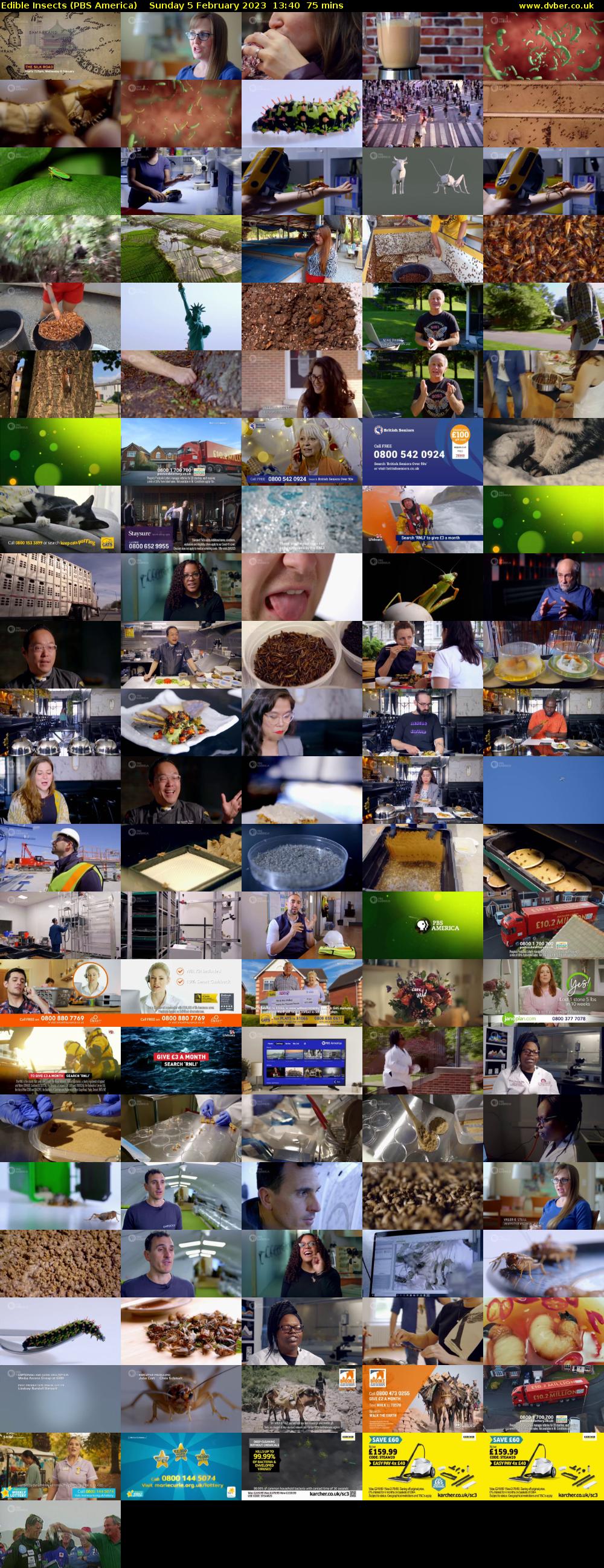 Edible Insects (PBS America) Sunday 5 February 2023 13:40 - 14:55