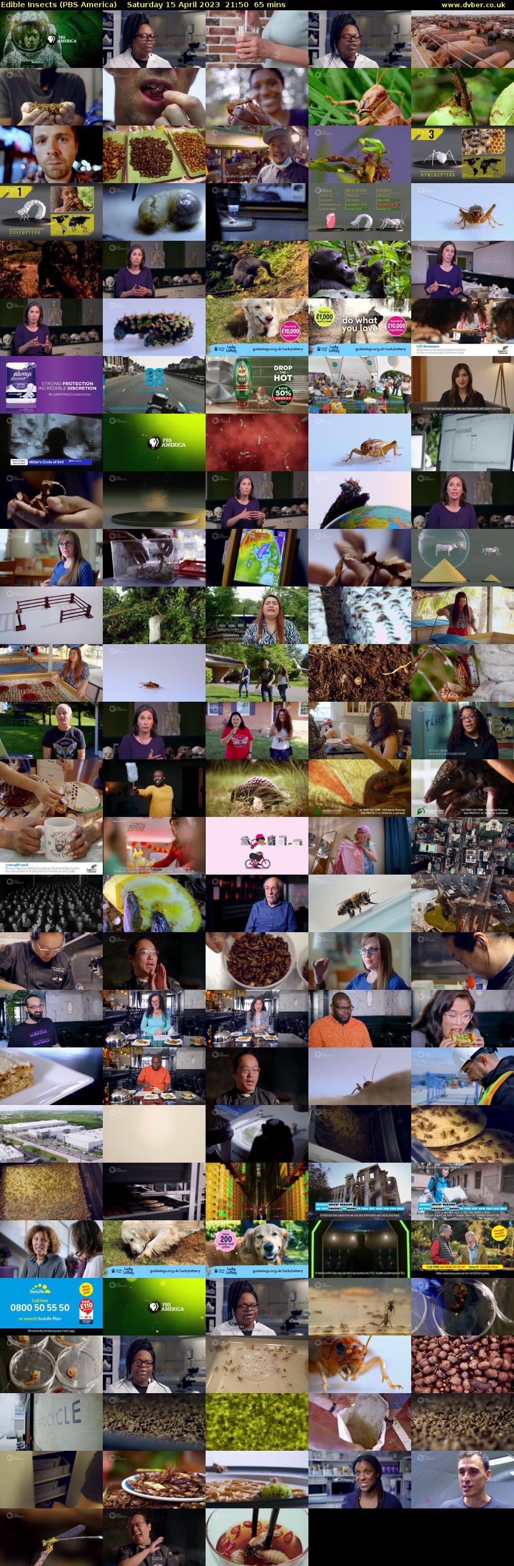 Edible Insects (PBS America) Saturday 15 April 2023 21:50 - 22:55
