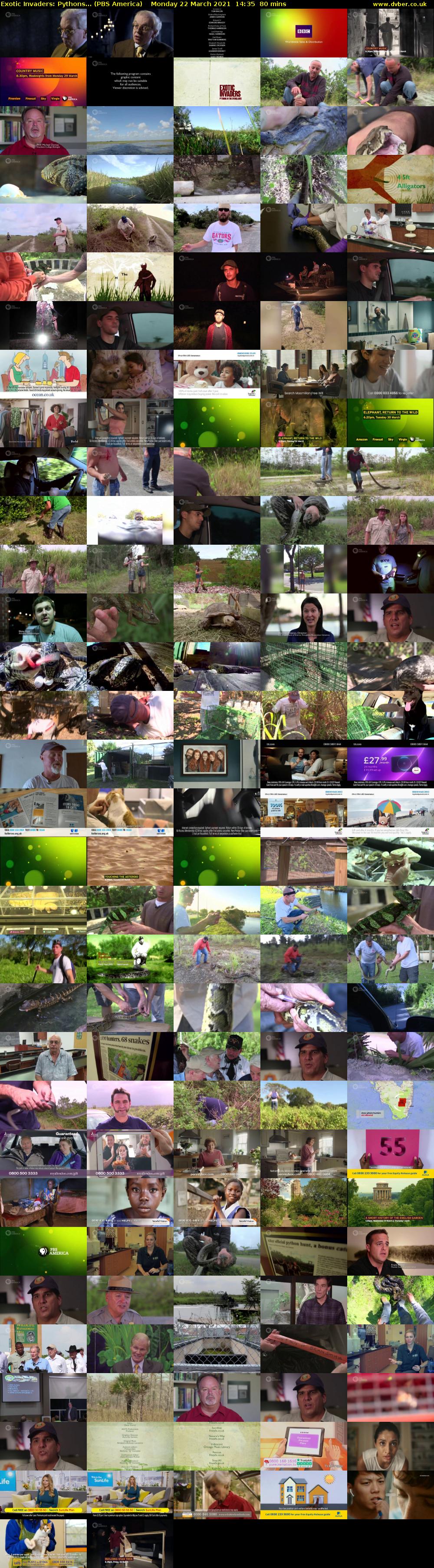 Exotic Invaders: Pythons... (PBS America) Monday 22 March 2021 14:35 - 15:55