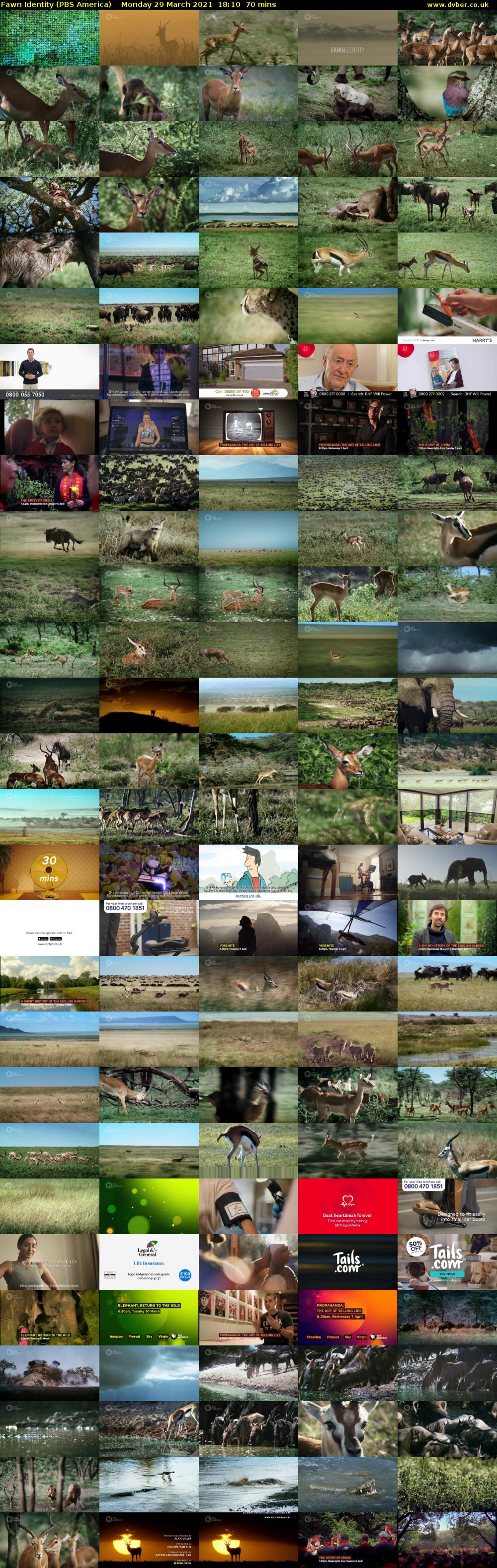 Fawn Identity (PBS America) Monday 29 March 2021 18:10 - 19:20