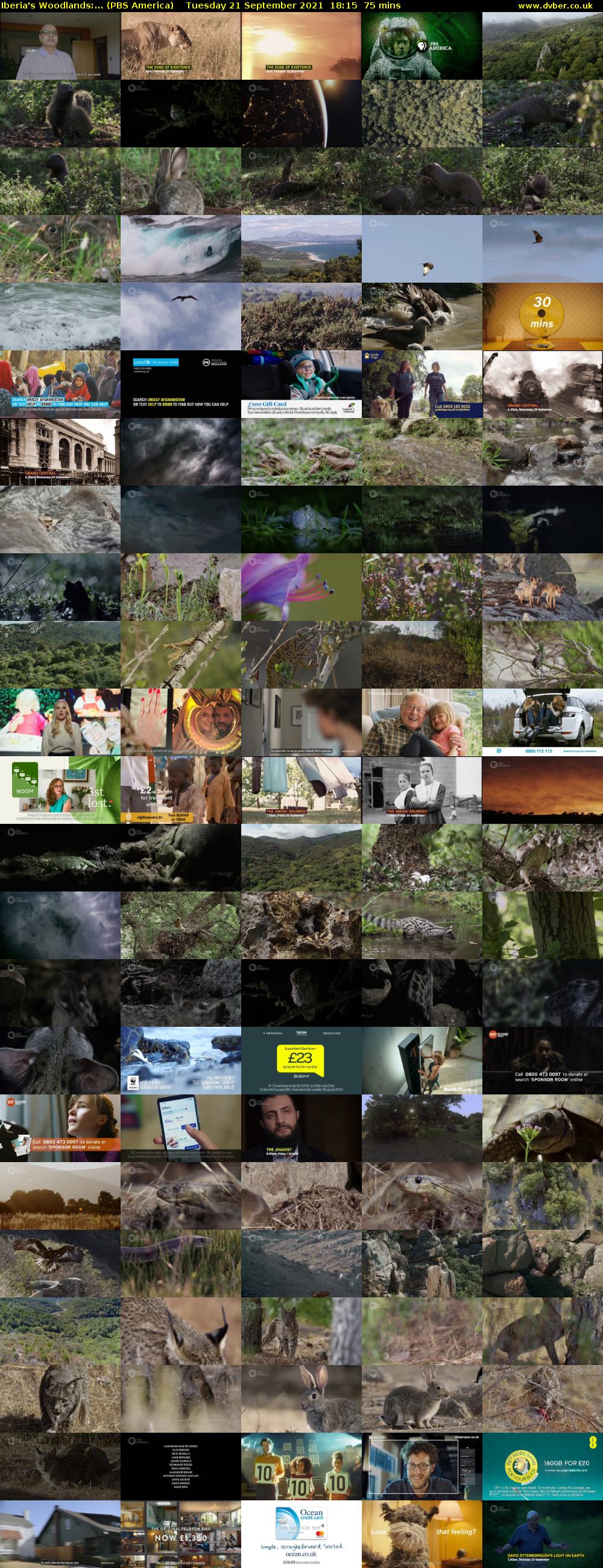 Iberia's Woodlands:... (PBS America) Tuesday 21 September 2021 18:15 - 19:30