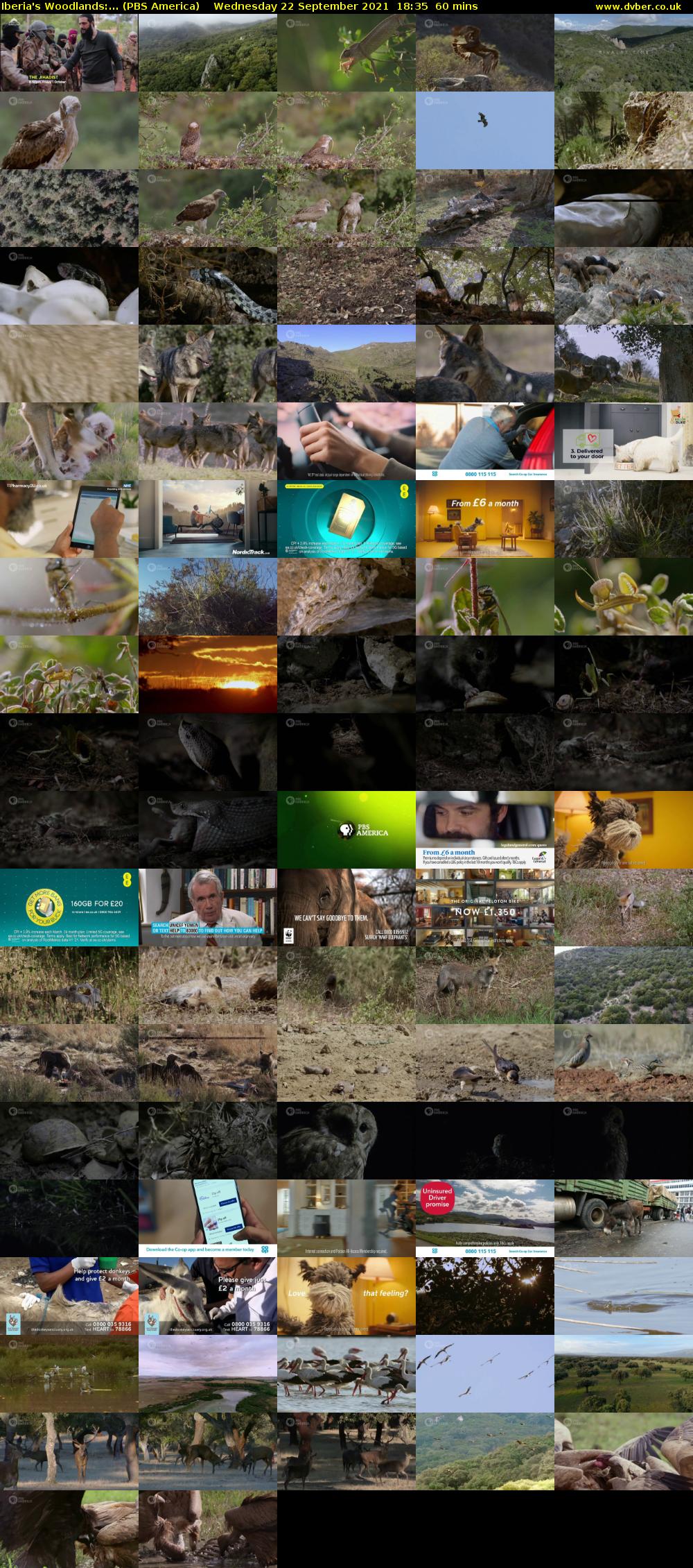 Iberia's Woodlands:... (PBS America) Wednesday 22 September 2021 18:35 - 19:35