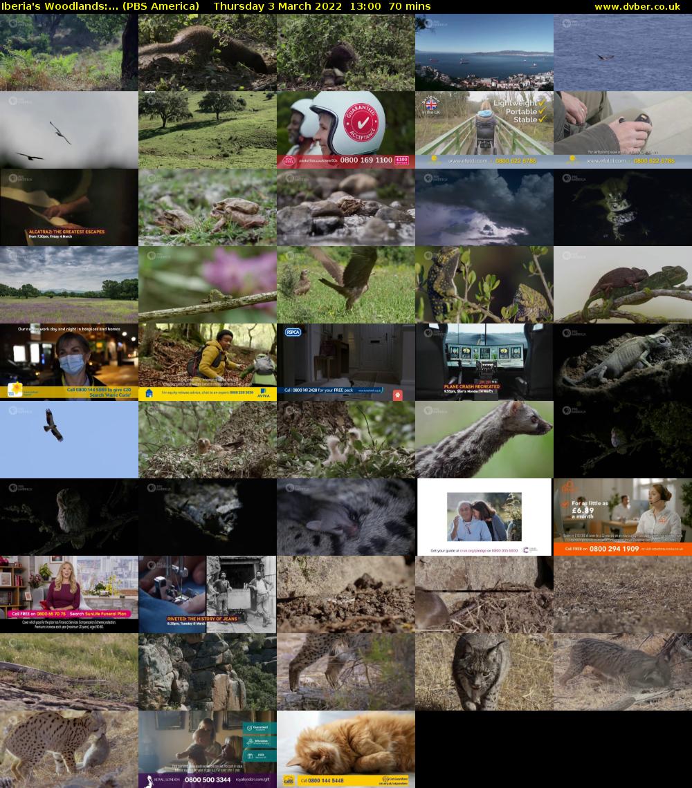 Iberia's Woodlands:... (PBS America) Thursday 3 March 2022 13:00 - 14:10