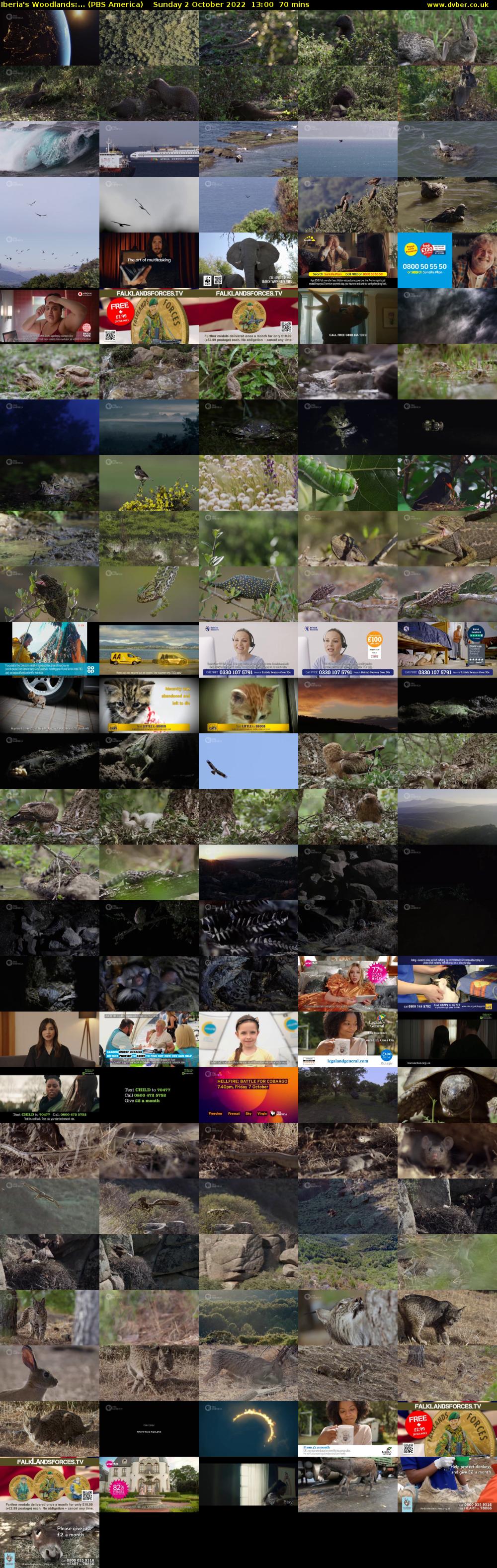 Iberia's Woodlands:... (PBS America) Sunday 2 October 2022 13:00 - 14:10