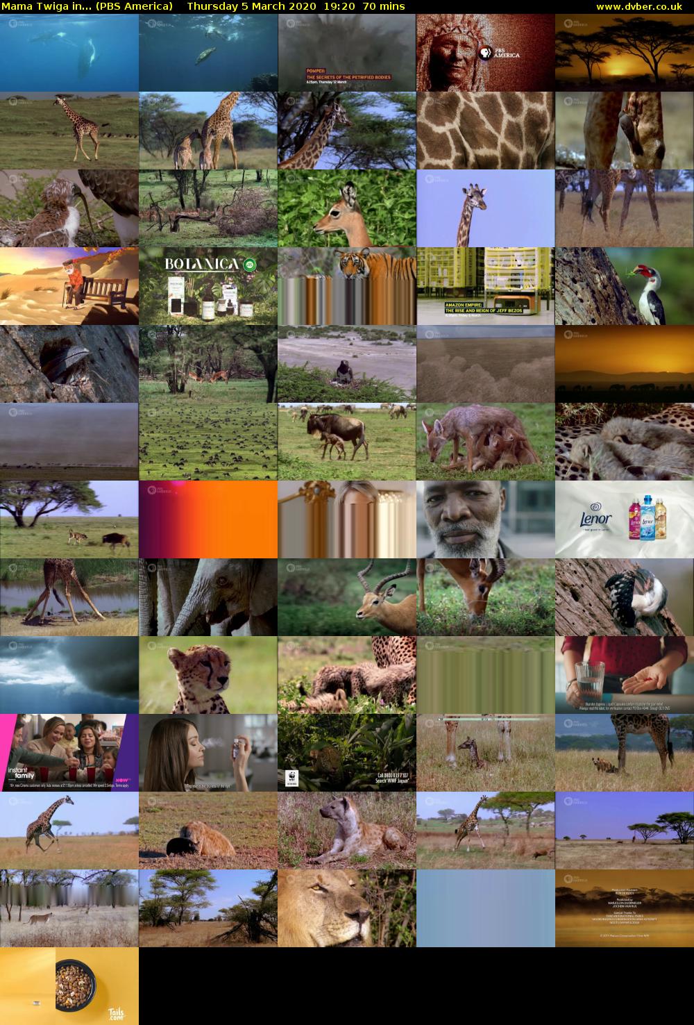 Mama Twiga in... (PBS America) Thursday 5 March 2020 19:20 - 20:30