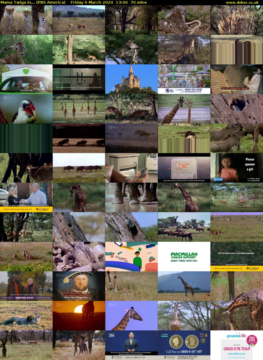 Mama Twiga in... (PBS America) Friday 6 March 2020 13:00 - 14:10