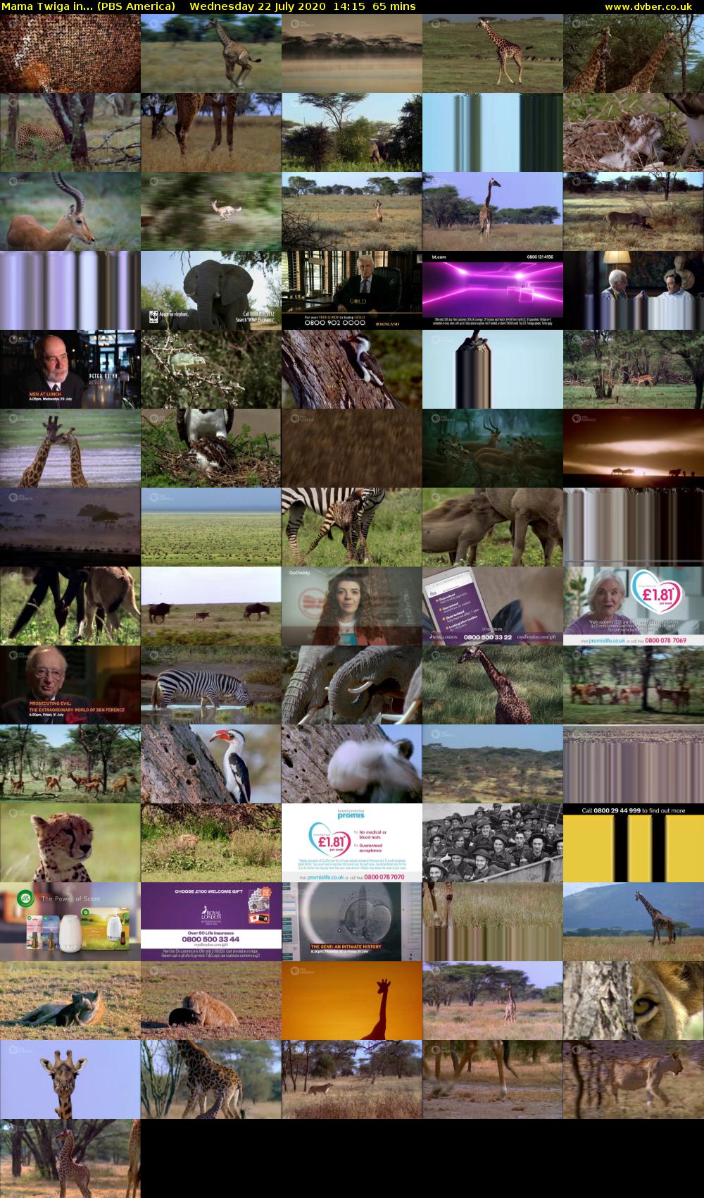 Mama Twiga in... (PBS America) Wednesday 22 July 2020 14:15 - 15:20