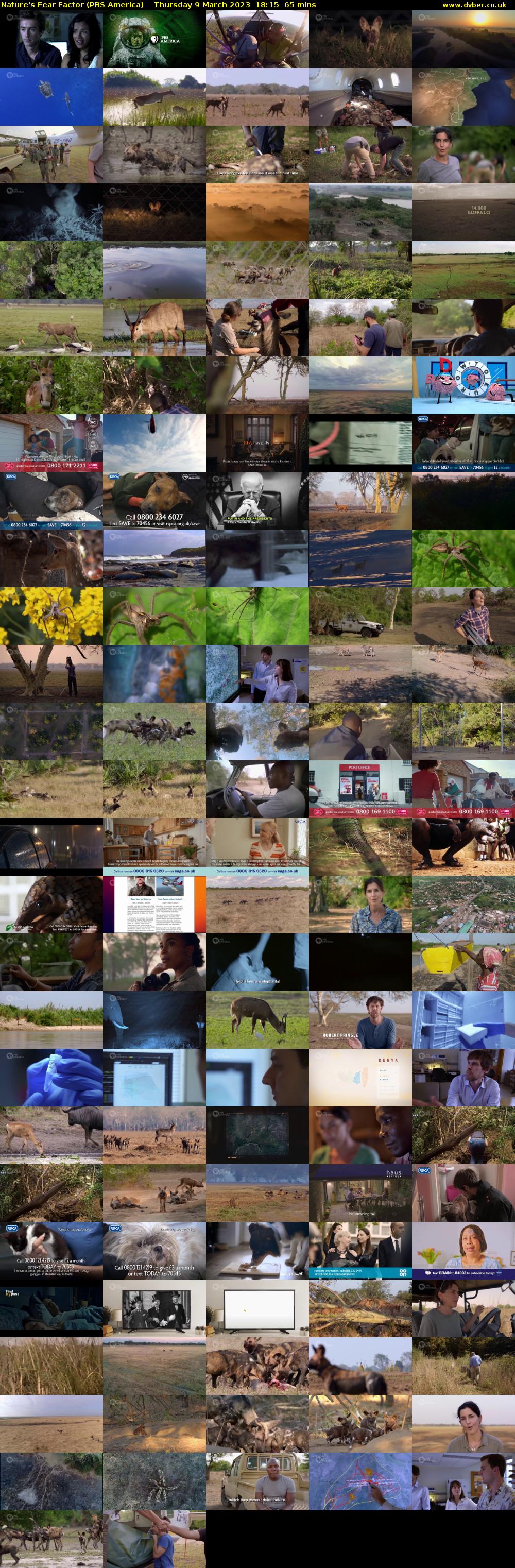Nature's Fear Factor (PBS America) Thursday 9 March 2023 18:15 - 19:20