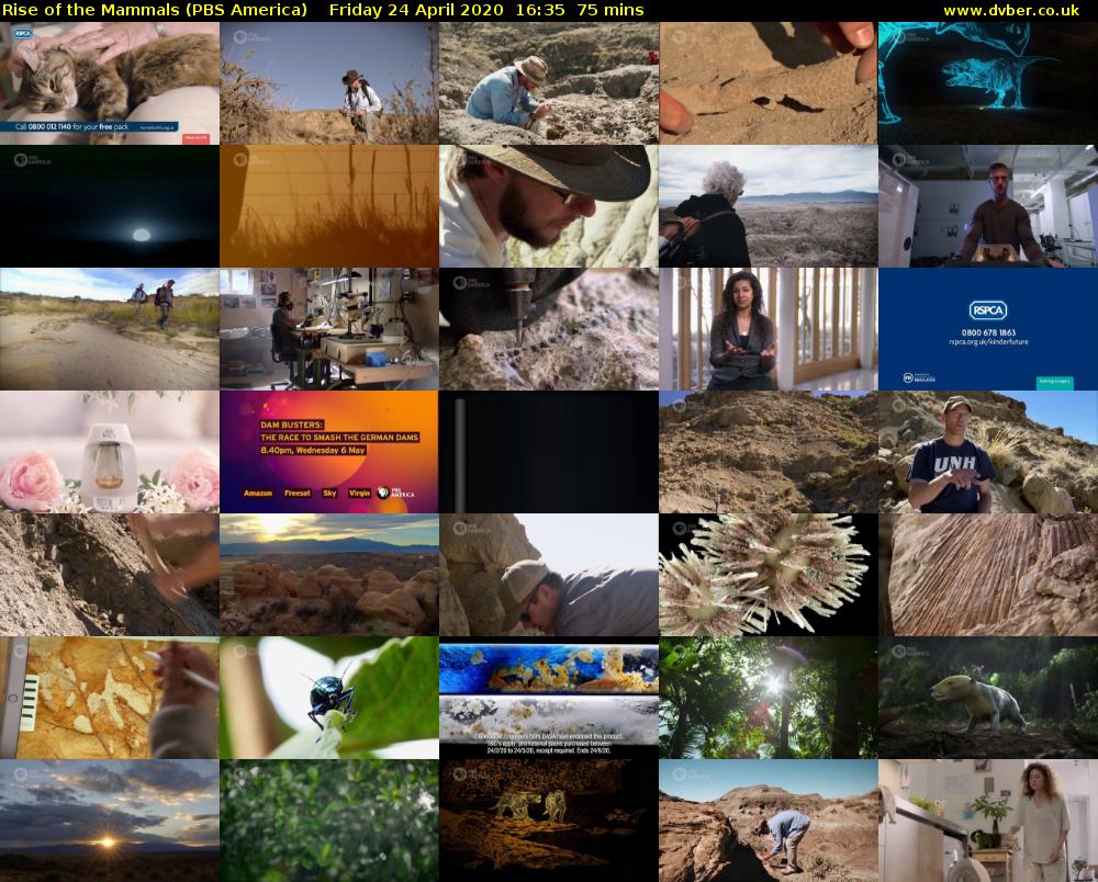 Rise of the Mammals (PBS America) Friday 24 April 2020 16:35 - 17:50