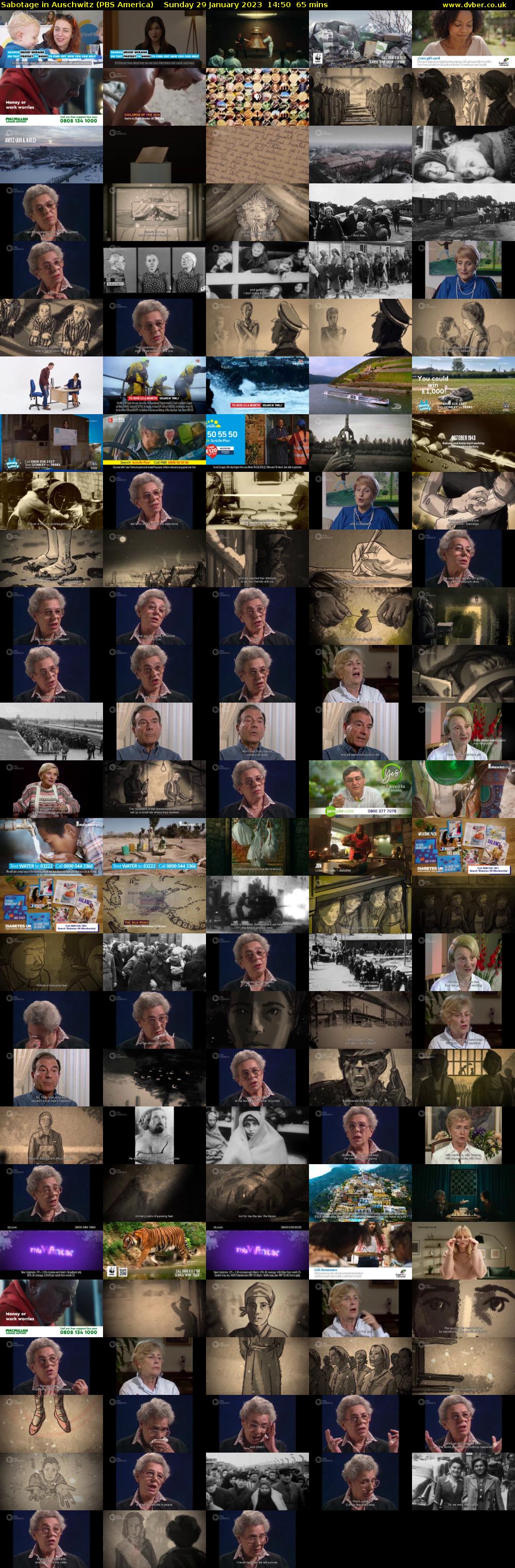 Sabotage in Auschwitz (PBS America) Sunday 29 January 2023 14:50 - 15:55