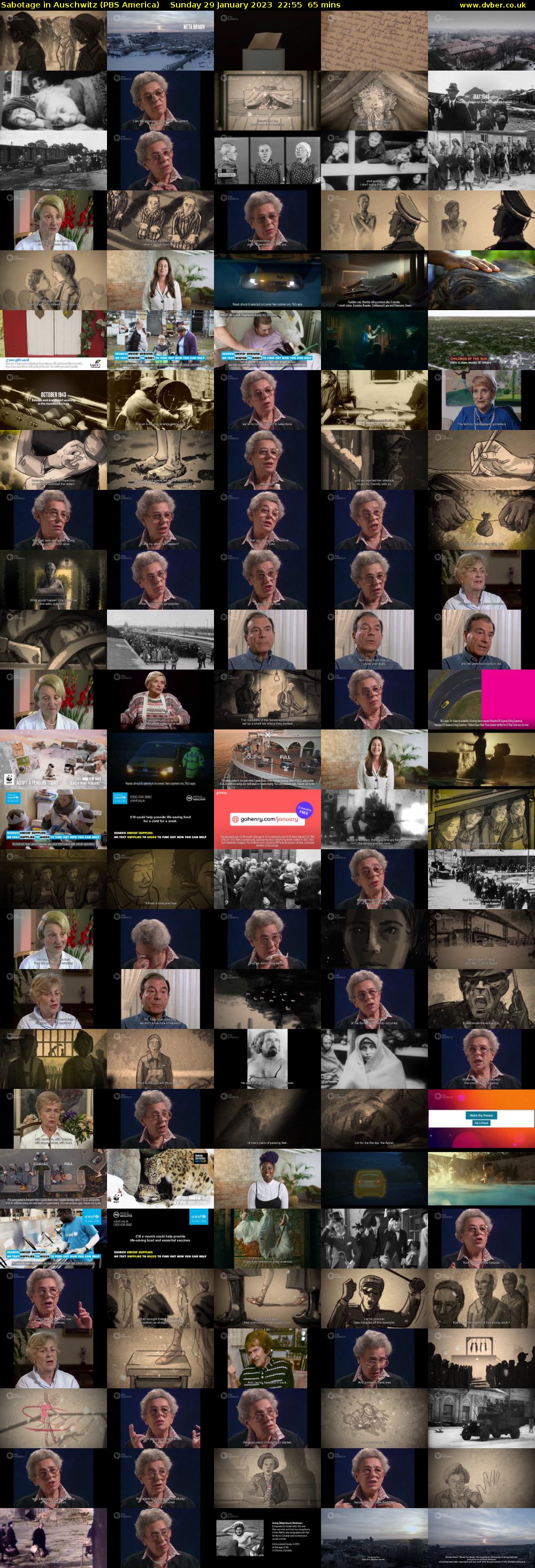 Sabotage in Auschwitz (PBS America) Sunday 29 January 2023 22:55 - 00:00