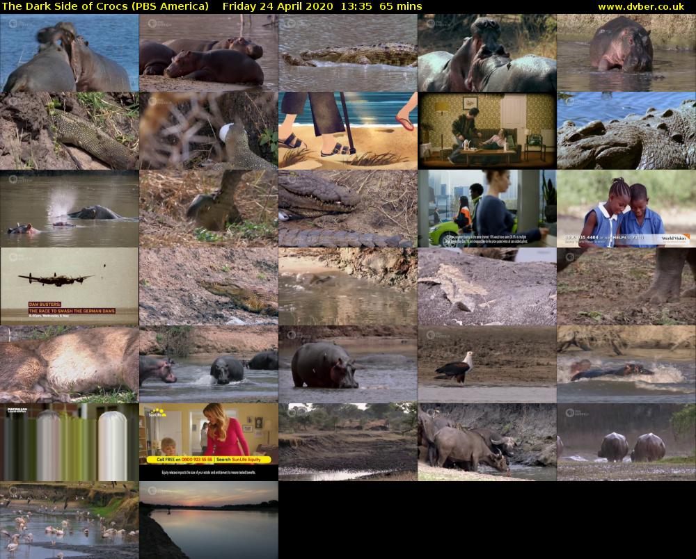 The Dark Side of Crocs (PBS America) Friday 24 April 2020 13:35 - 14:40