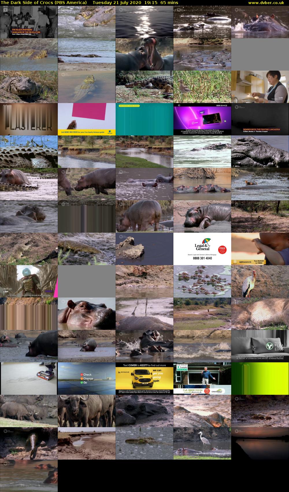 The Dark Side of Crocs (PBS America) Tuesday 21 July 2020 19:15 - 20:20