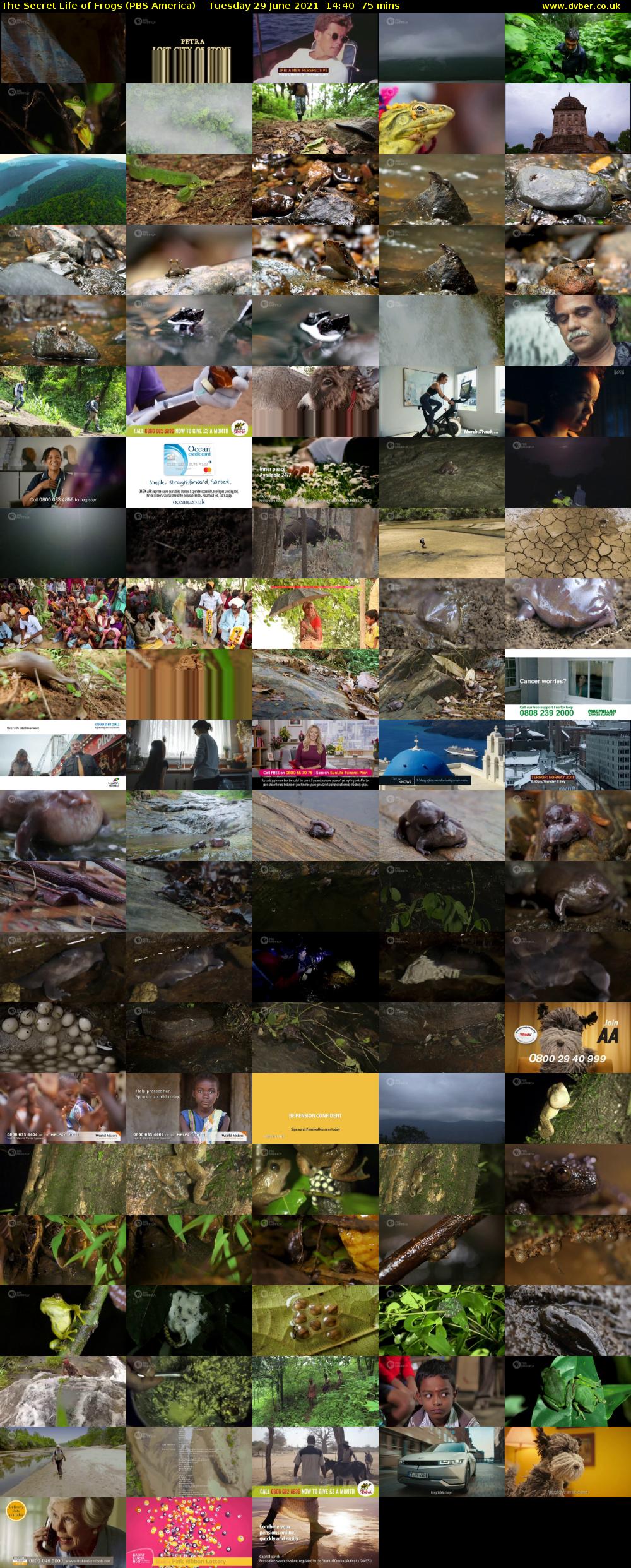The Secret Life of Frogs (PBS America) Tuesday 29 June 2021 14:40 - 15:55