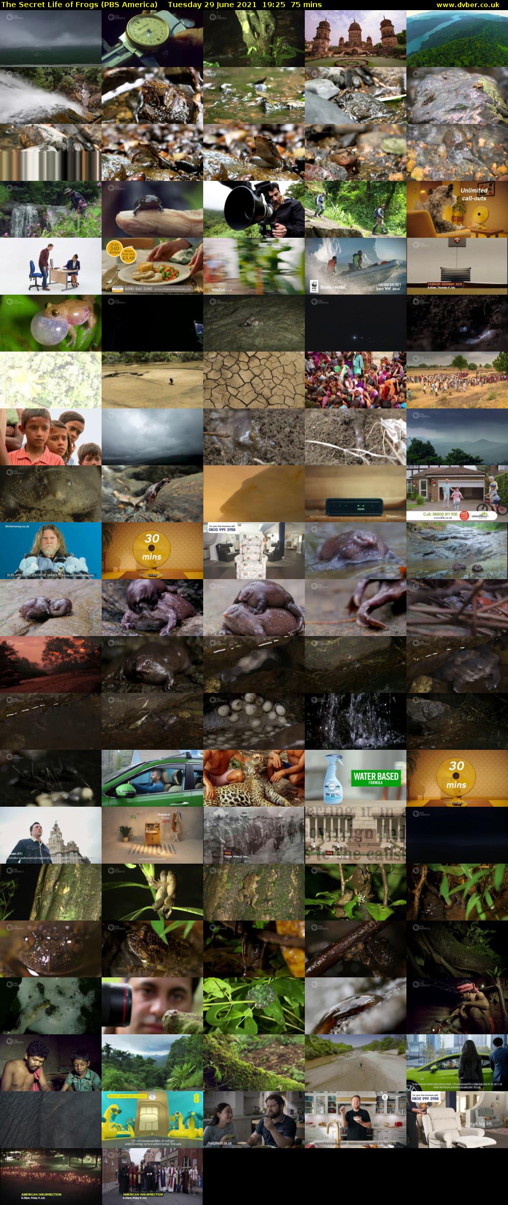 The Secret Life of Frogs (PBS America) Tuesday 29 June 2021 19:25 - 20:40