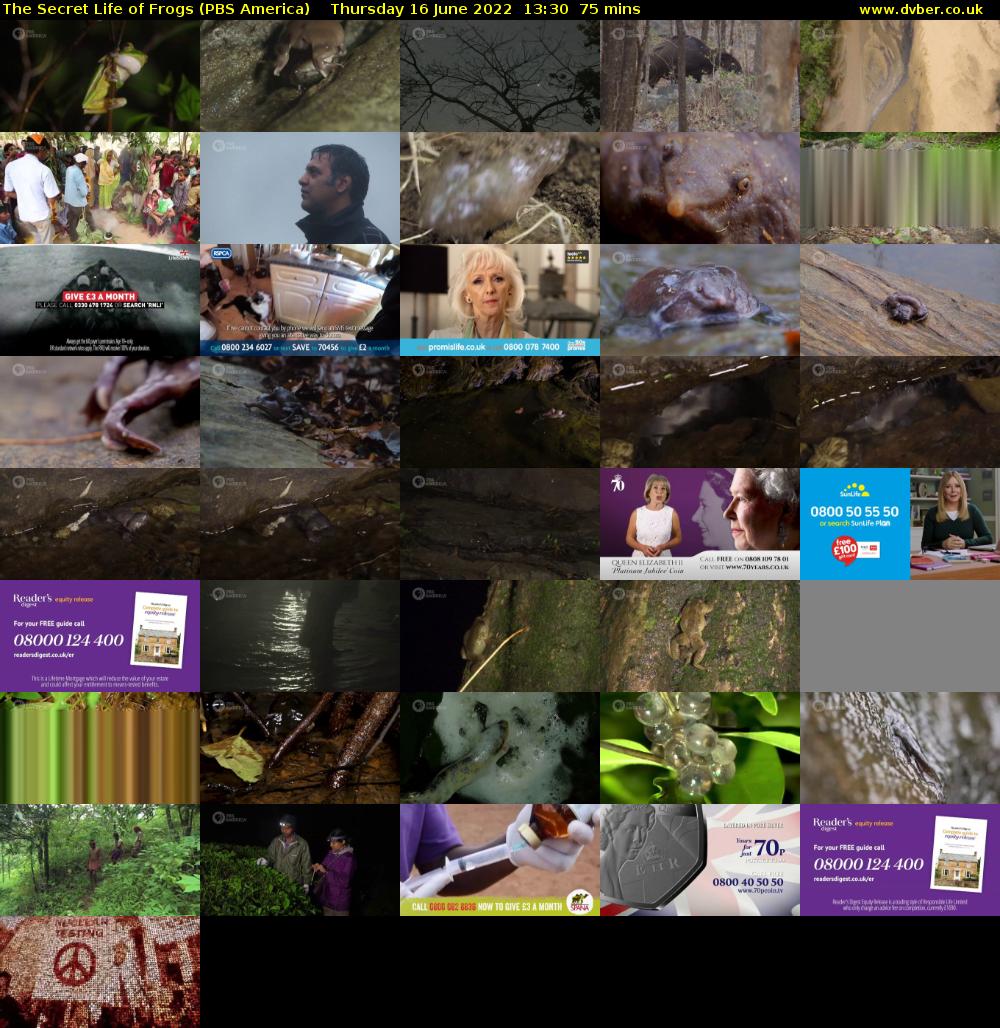 The Secret Life of Frogs (PBS America) Thursday 16 June 2022 13:30 - 14:45