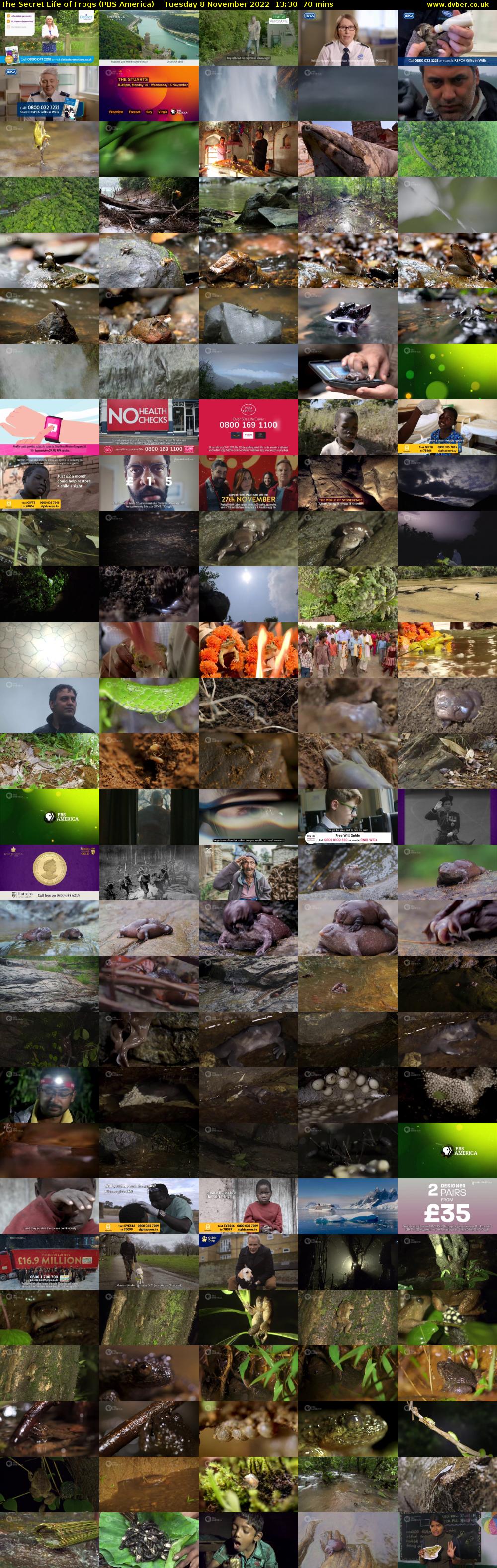 The Secret Life of Frogs (PBS America) Tuesday 8 November 2022 13:30 - 14:40