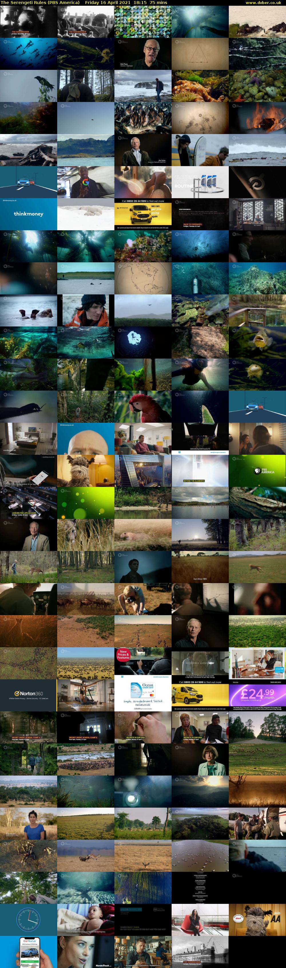 The Serengeti Rules (PBS America) Friday 16 April 2021 18:15 - 19:30