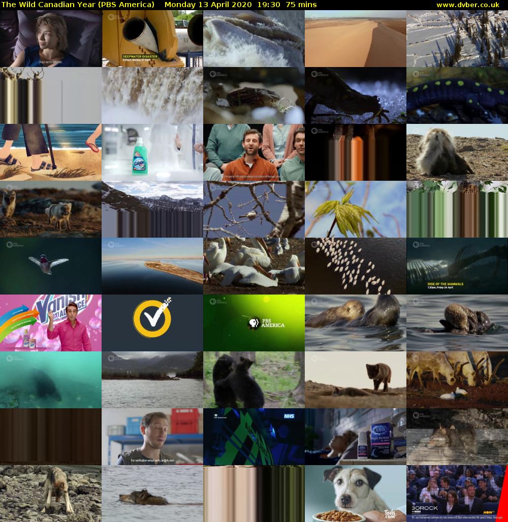 The Wild Canadian Year (PBS America) Monday 13 April 2020 19:30 - 20:45