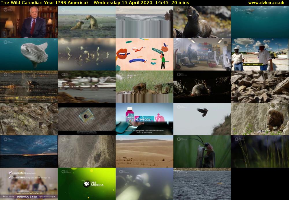 The Wild Canadian Year (PBS America) Wednesday 15 April 2020 14:45 - 15:55
