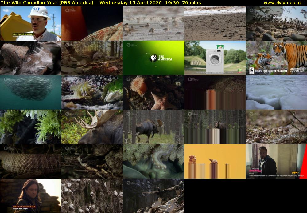 The Wild Canadian Year (PBS America) Wednesday 15 April 2020 19:30 - 20:40