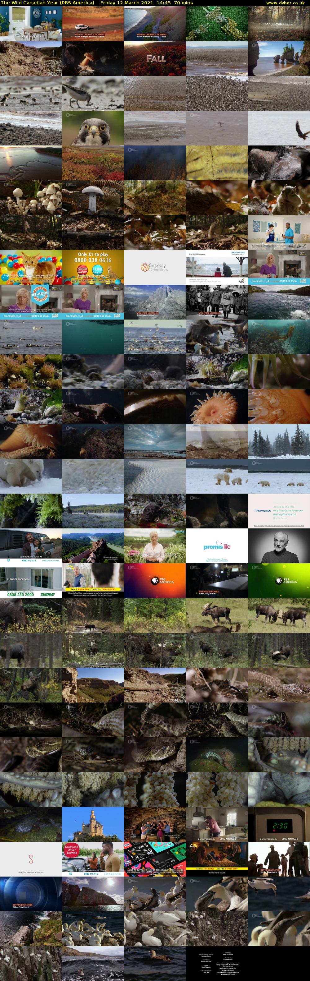The Wild Canadian Year (PBS America) Friday 12 March 2021 14:45 - 15:55