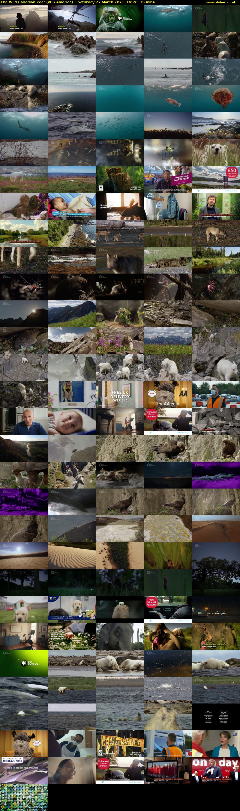 The Wild Canadian Year (PBS America) Saturday 27 March 2021 19:20 - 20:35