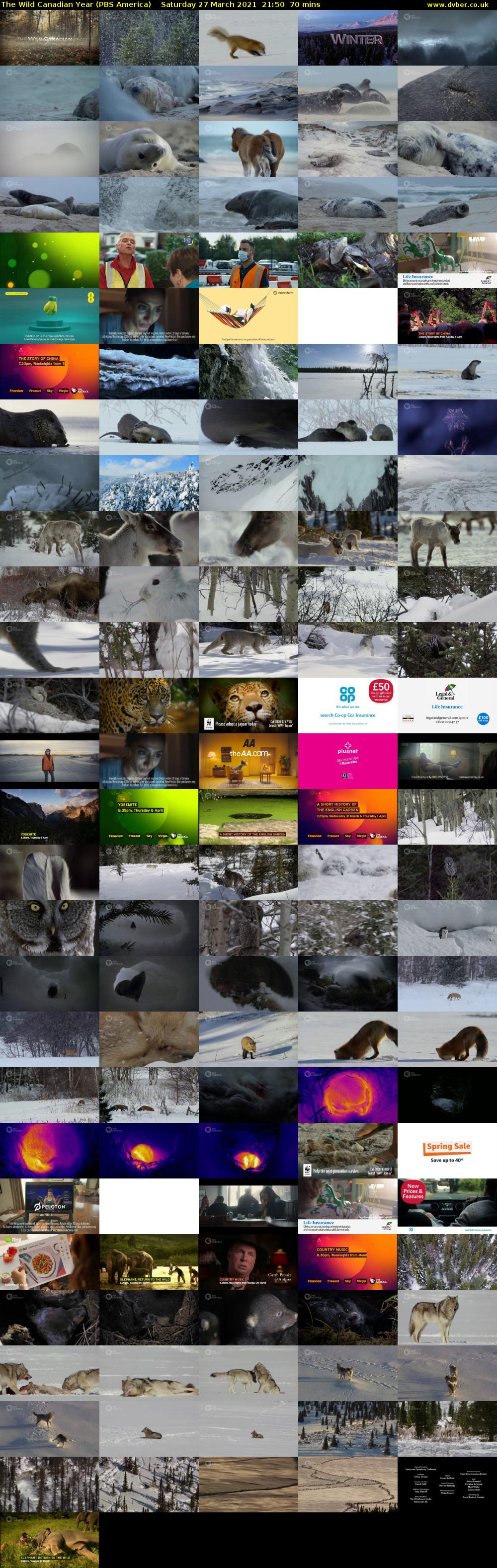 The Wild Canadian Year (PBS America) Saturday 27 March 2021 21:50 - 23:00
