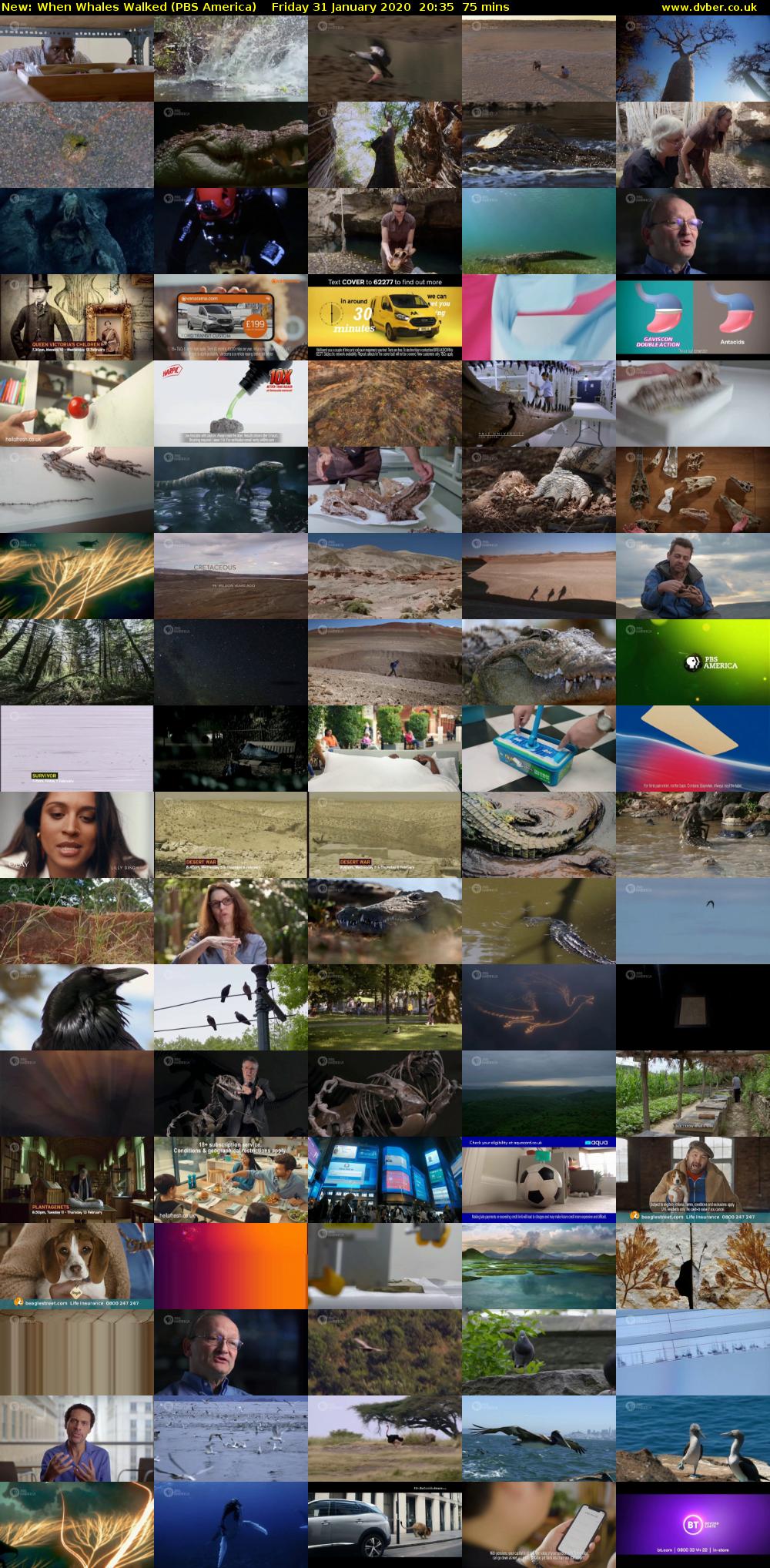 When Whales Walked (PBS America) Friday 31 January 2020 20:35 - 21:50