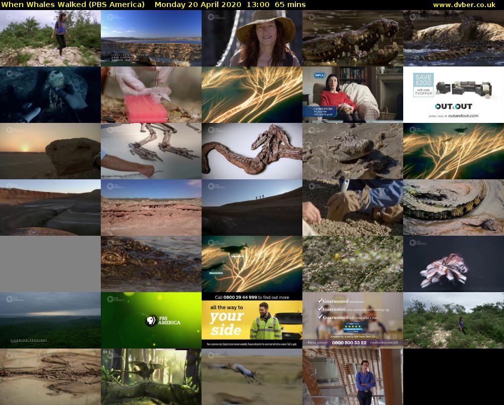 When Whales Walked (PBS America) Monday 20 April 2020 13:00 - 14:05
