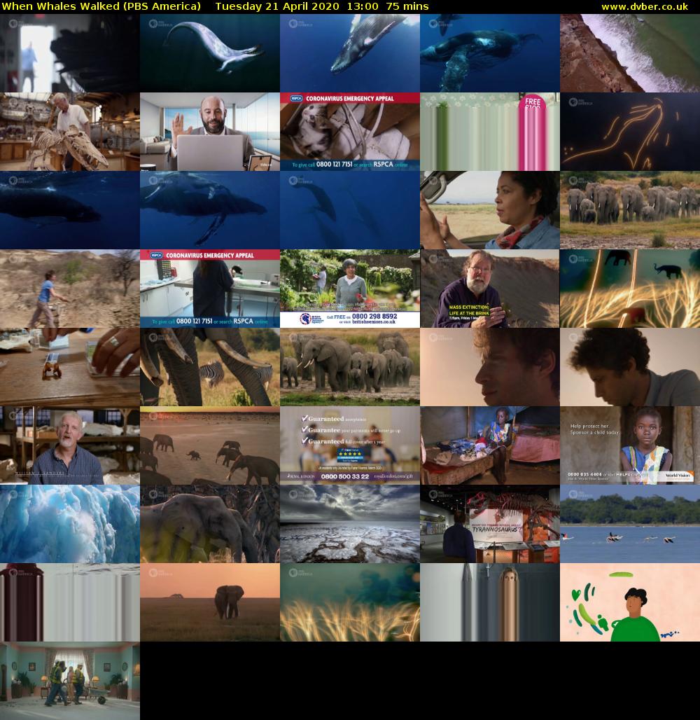 When Whales Walked (PBS America) Tuesday 21 April 2020 13:00 - 14:15